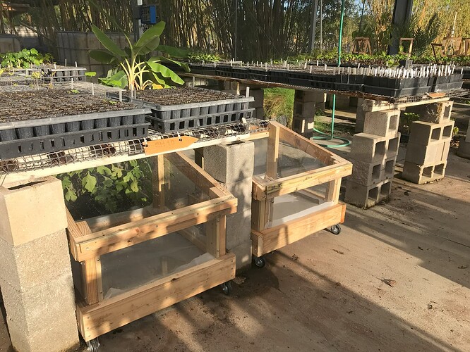 polypropagators april