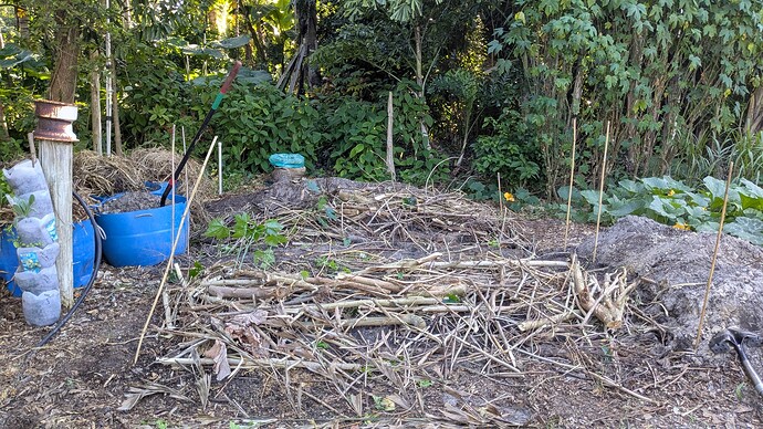 PXL_20251104_133833419