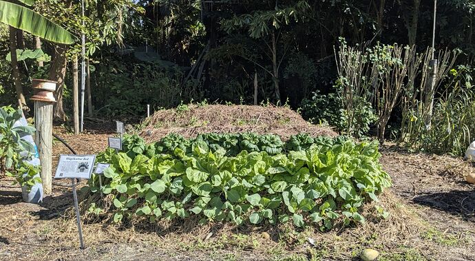 PXL_20251212_180750341