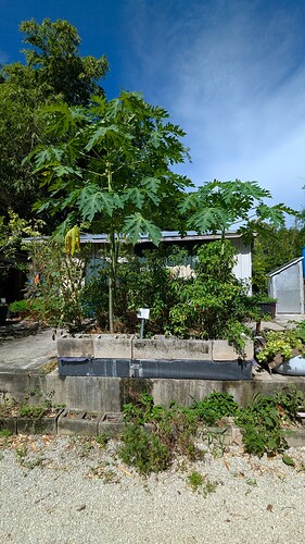 PXL_20250822_145837200