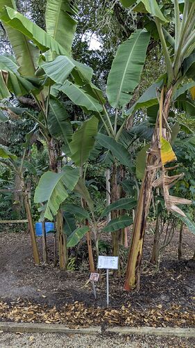 PXL_20251213_202248480