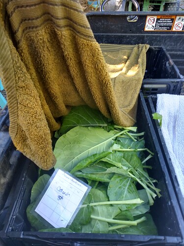 IMG_20251120_091755860_HDR