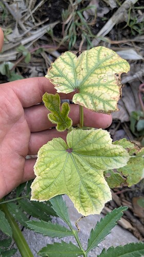 PXL_20260412_223158005