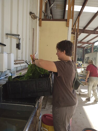 IMG_20251120_094306994