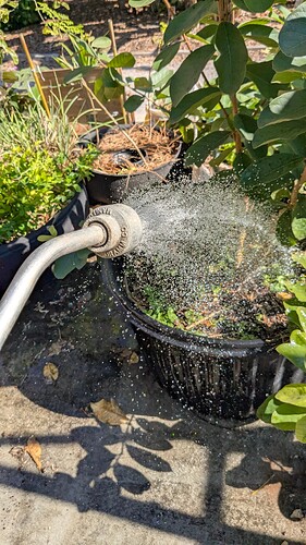 PXL_20251123_175956552.MP