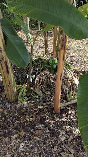 PXL_20251213_180904092