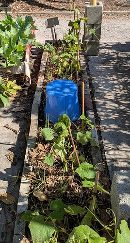 PXL_20251123_175905905