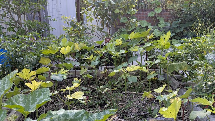 PXL_20260412_223209659