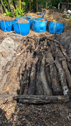 PXL_20251021_154911173 (1)