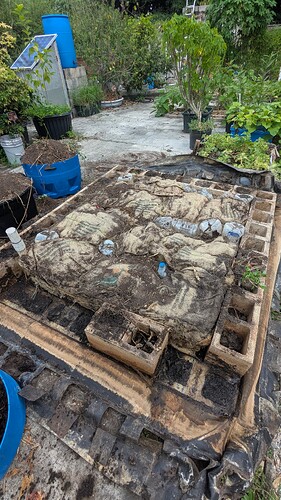 PXL_20250822_191604295 (1)