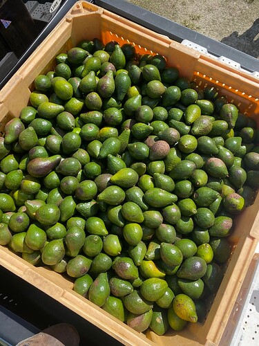 Image_20251030_140040_518