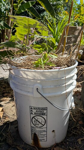 PXL_20251123_180948253