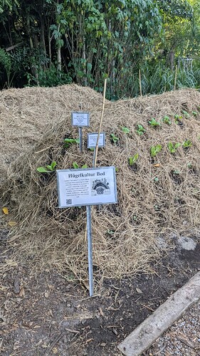 PXL_20251110_213407622