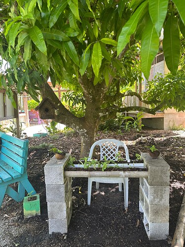 609ABDEA-00FD-499B-9EA3-4BB6991DDC59_1_102_o