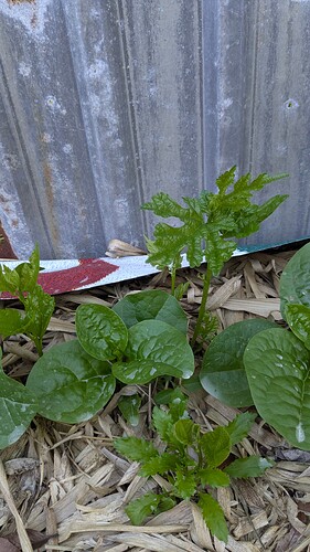 PXL_20260412_223303053