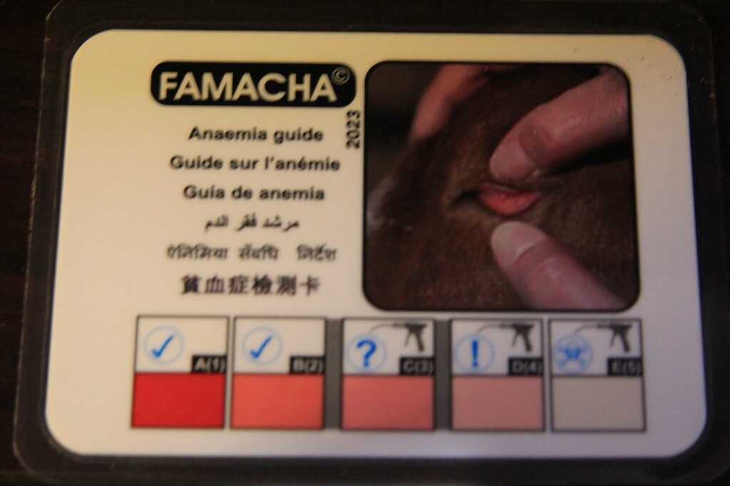 Estimating Ruminant Parasite Levels through FAMACHA Scoring - Animal ...
