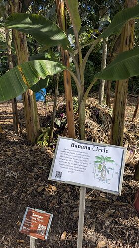 PXL_20251213_174129217