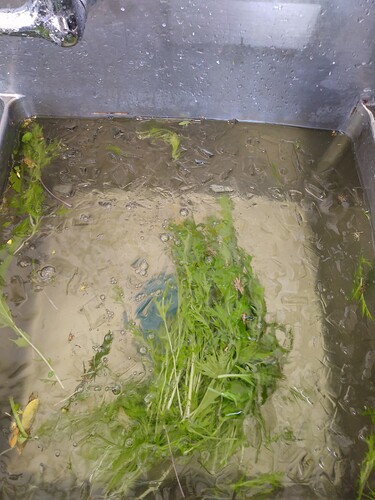 IMG_20251120_100626923