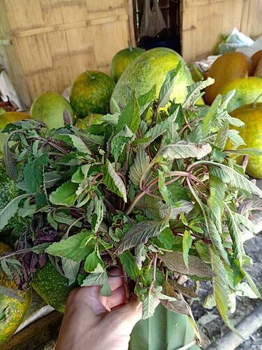 41838940_2198477120162417_669933568675282944_n