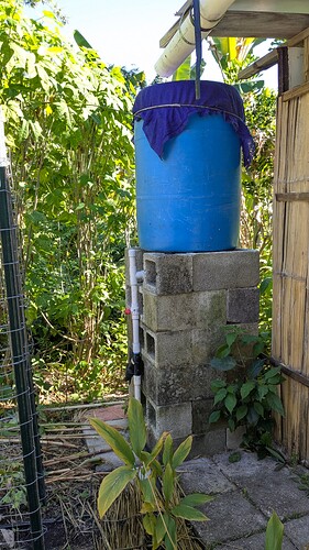 PXL_20251123_175703368