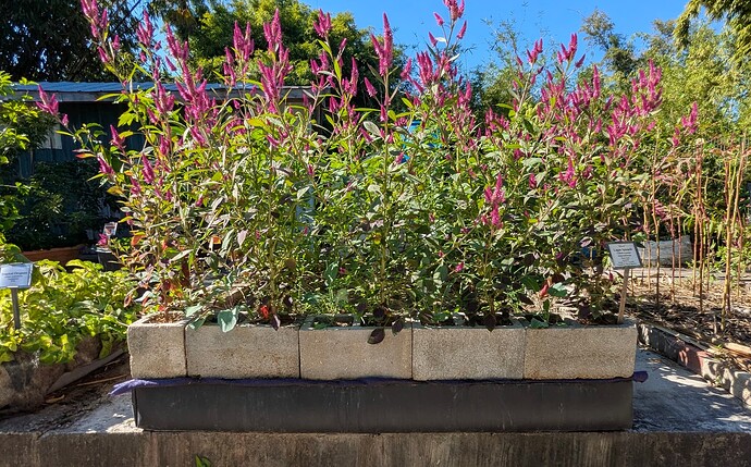 PXL_20251123_180235749