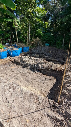 PXL_20251021_153758879 (1)