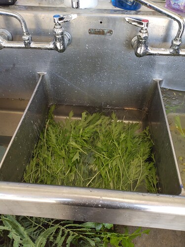 IMG_20251120_100606709