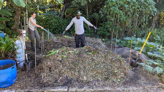 PXL_20251104_142400681.MP