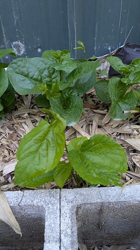 PXL_20260412_223255752