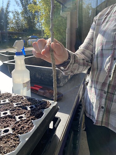 2. Fig cutting length