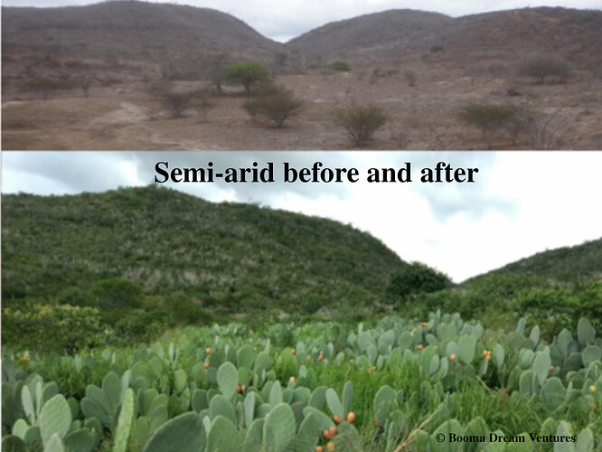 semiarid
