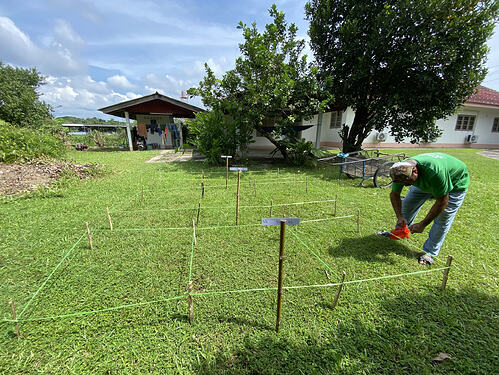 Figure 1: Saeng Seiamrai applying herbicide