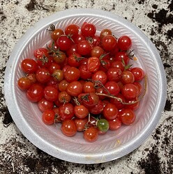 a2729e11-75d5-43ab-ad5a-68f0e96c5c34~1