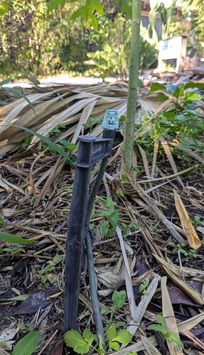 PXL_20251123_175523215